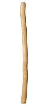 Medium Size Natural Finish Didgeridoo (TW1194)